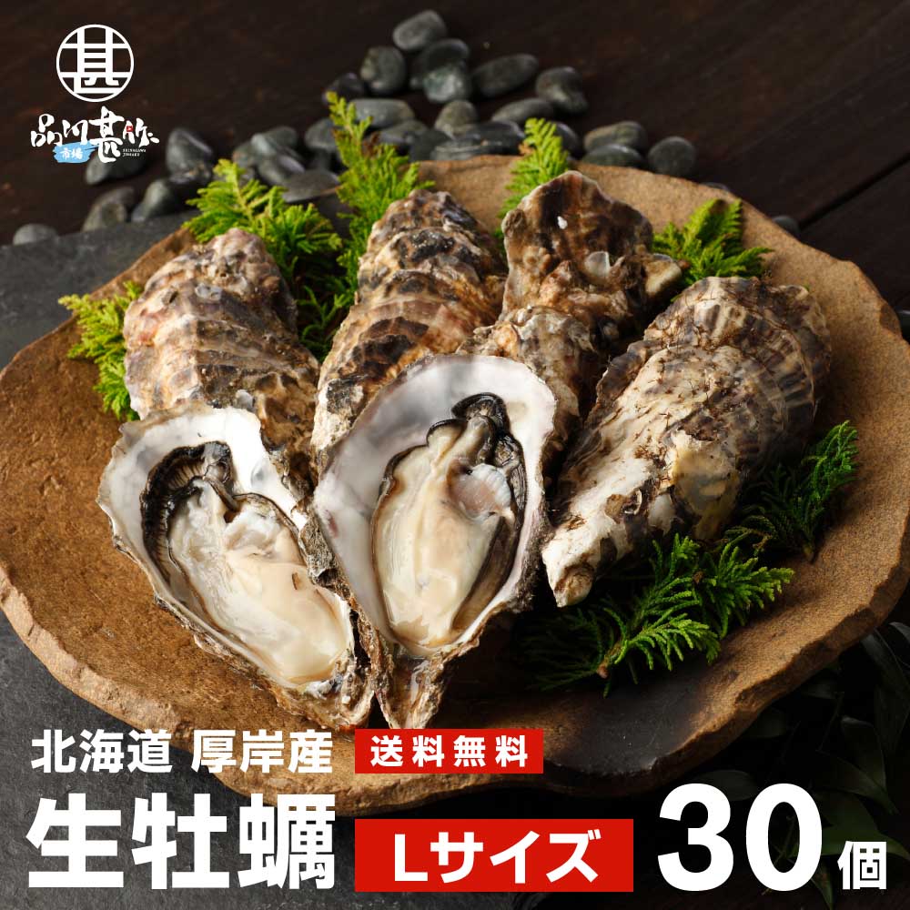【送料無料】生牡蠣Ｌサイズ３０個 北海道厚岸産（殻付き）産地直送 まるえもん