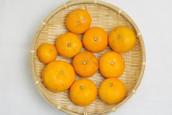 【無肥料・自然栽培】温州ミカン1kg 甘みの中に酸味もある濃厚なみかん［熊本県：宗自然農園］【v1000】