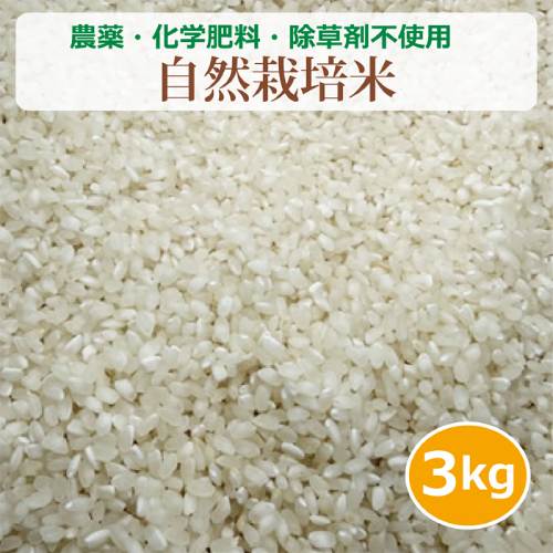 農薬・化学肥料・除草剤不使用 自然栽培米 （3kg） 【健康サポート農園】