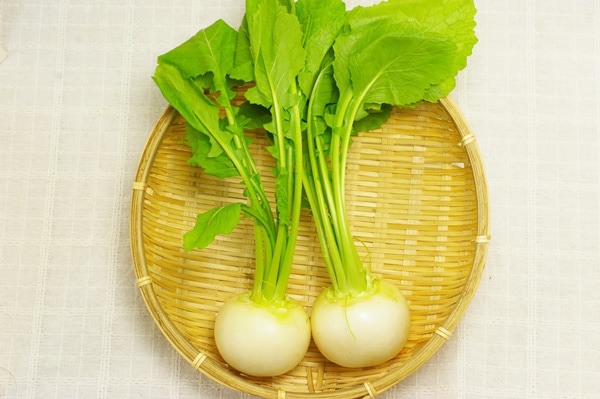 【無肥料・自然栽培】小かぶ［京都府：中嶋大輔さん］【v400】※2/17(火)発送分