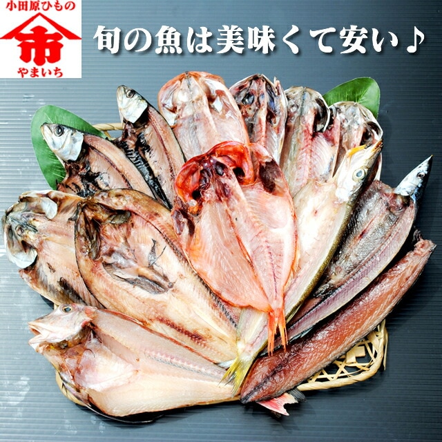 【送料無料】おまかせ干物セット5000円コース～魚は山市干物専門店におまかせください!その時の最高の魚を干物にてお送りします。