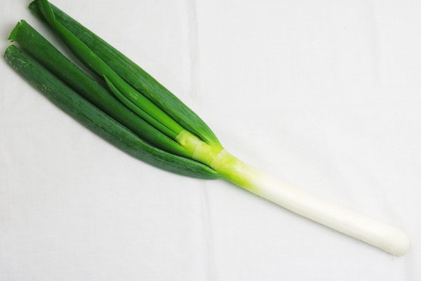 【無肥料・自然栽培】白ネギ［徳島県：阿波ツクヨミファーム］【v500】※12/30(火)発送分