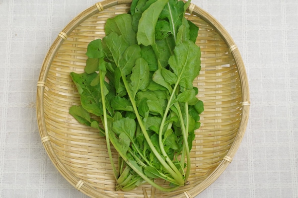 【無肥料・自然栽培】ルッコラ［京都府：ポトンファーム］【v400】※2/13(金)発送分