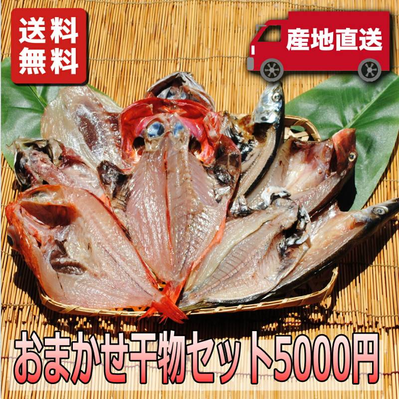 【送料無料】おまかせ干物セット5000円コース～魚は山市干物専門店におまかせください!その時の最高の魚を干物にてお送りします。