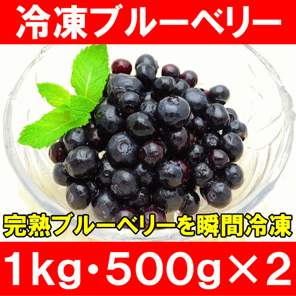 ブルーベリー 冷凍ブルーベリー １ｋｇ・５００ｇ×２パック 冷凍フルーツ ヨナナス