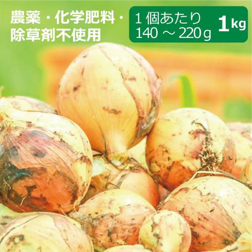 農薬・化学肥料・除草剤不使用　玉ねぎ 1kg ※玉ねぎのサイズは混合です【健康サポート農園】