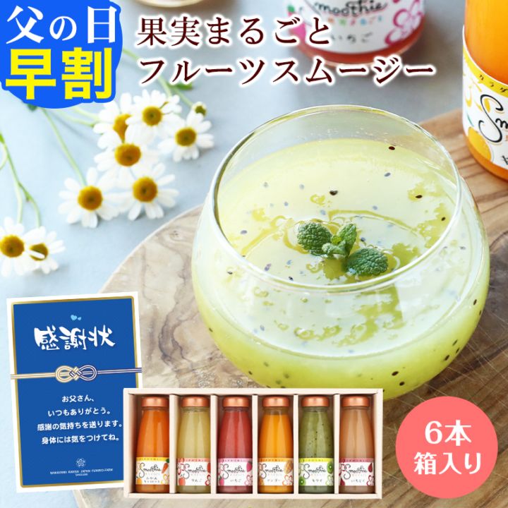 ＼5%OFFクーポン配布中／早割 父の日 ギフト プレゼント 果実まるごと！フルーツスムージー6本セット北海道産てんさい糖＆寒天＆...