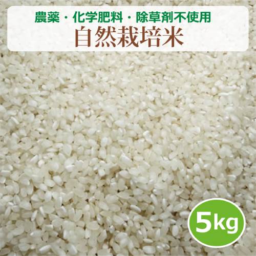 農薬・化学肥料・除草剤不使用 自然栽培米 （5kg） 【健康サポート農園】