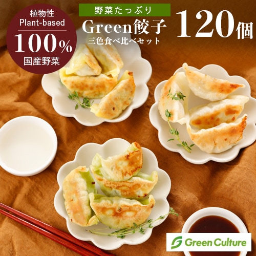 【季節のおすすめ5％OFF！】Green 餃子食べ比べ 三色 ヘルシー 菜食 野菜餃子 国産野菜 業務用 【食べ比べ 120個セッ...