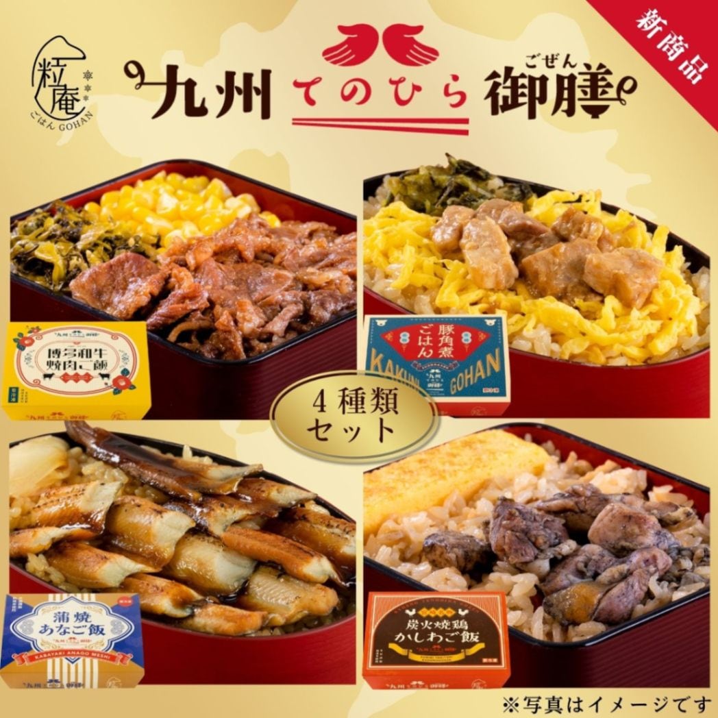 九州てのひら御膳 4種セット｜熟成米使用｜電子レンジで簡単調理！