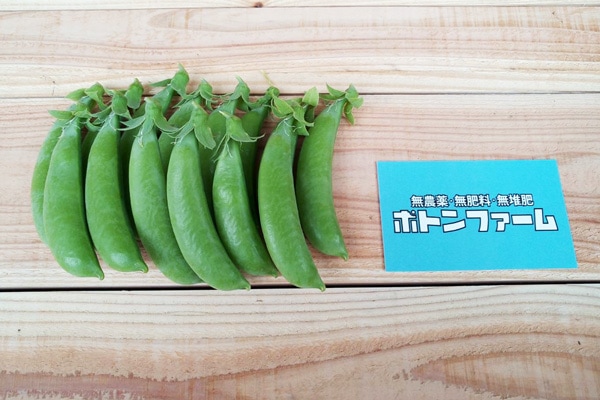 【無肥料・自然栽培】スナップえんどう［京都府：ポトンファーム］【v400】※5/12(火)発送分
