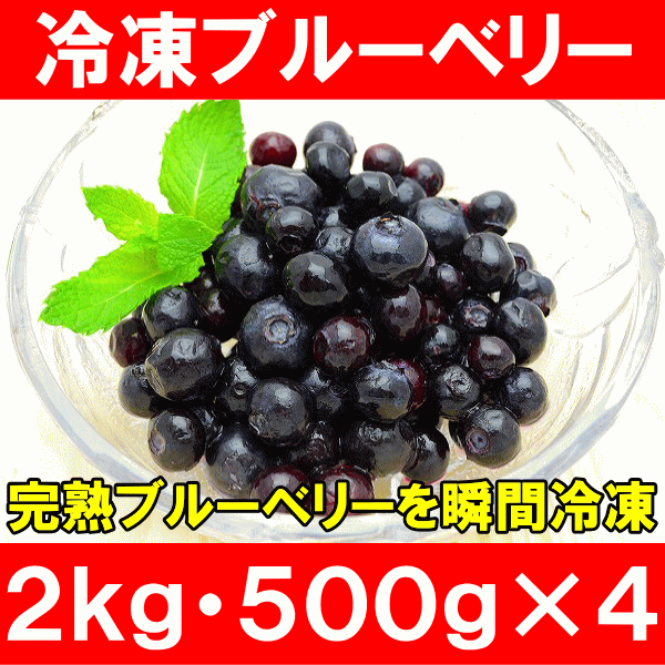 ブルーベリー 冷凍ブルーベリー ２ｋｇ・５００ｇ×４パック 冷凍フルーツ ヨナナス