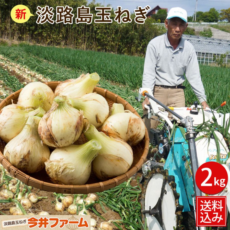 【予約】新玉ねぎ 淡路島玉ねぎ2キロ 【タマネギ】【たまねぎ】＃淡路たまねぎ2ｋｇ＃ 淡路島 玉ねぎ たまねぎ タマネギ 玉葱 た...