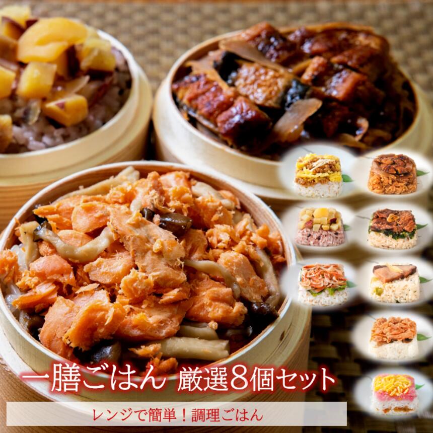 一膳ごはん 厳選8個セット｜熟成米使用｜電子レンジで約2分半の簡単調理！